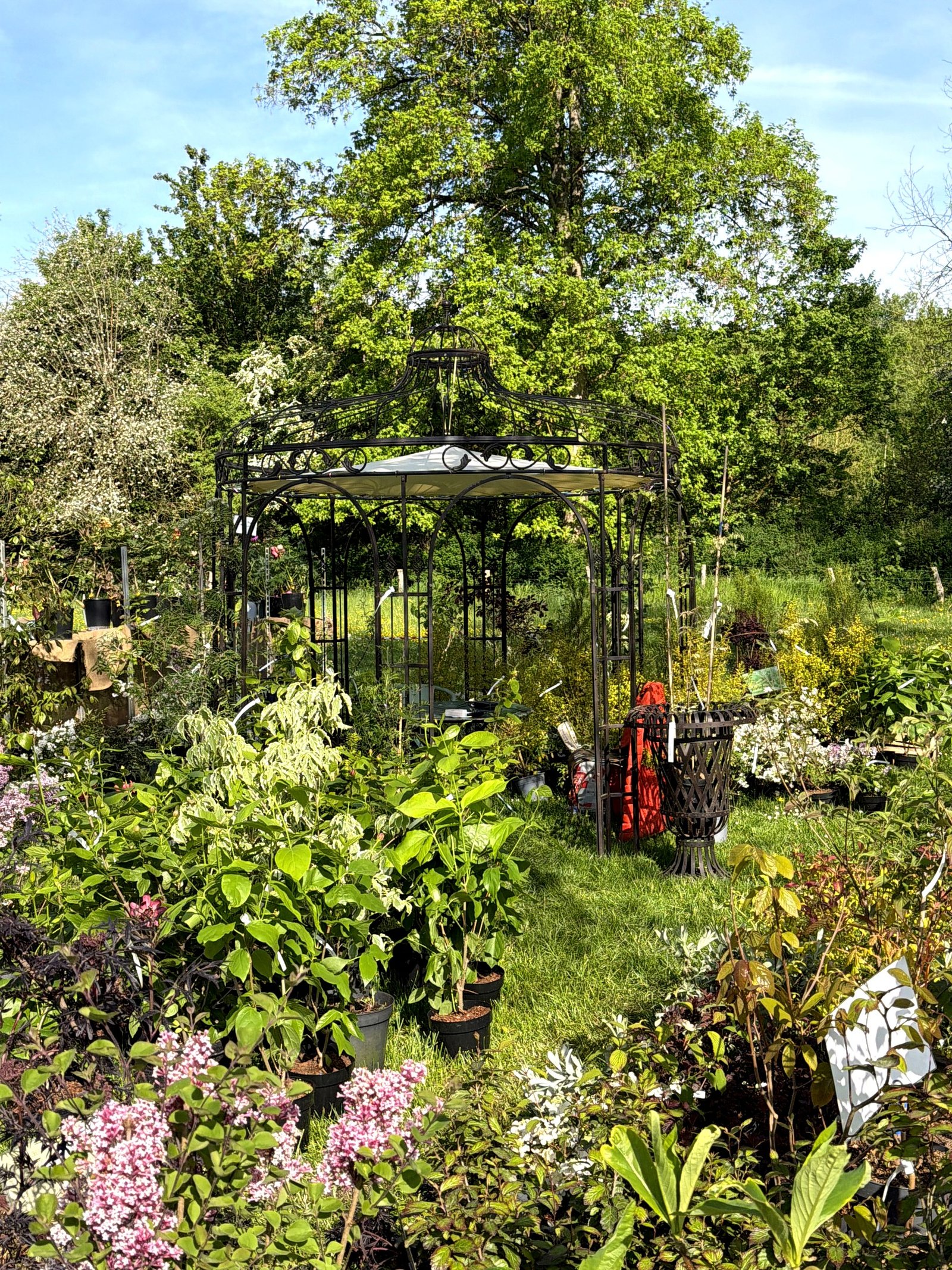 Gloriette en fer forgé dans le jardin, vue d'ensemble